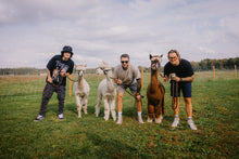 Load image into Gallery viewer, Alpaca Walking