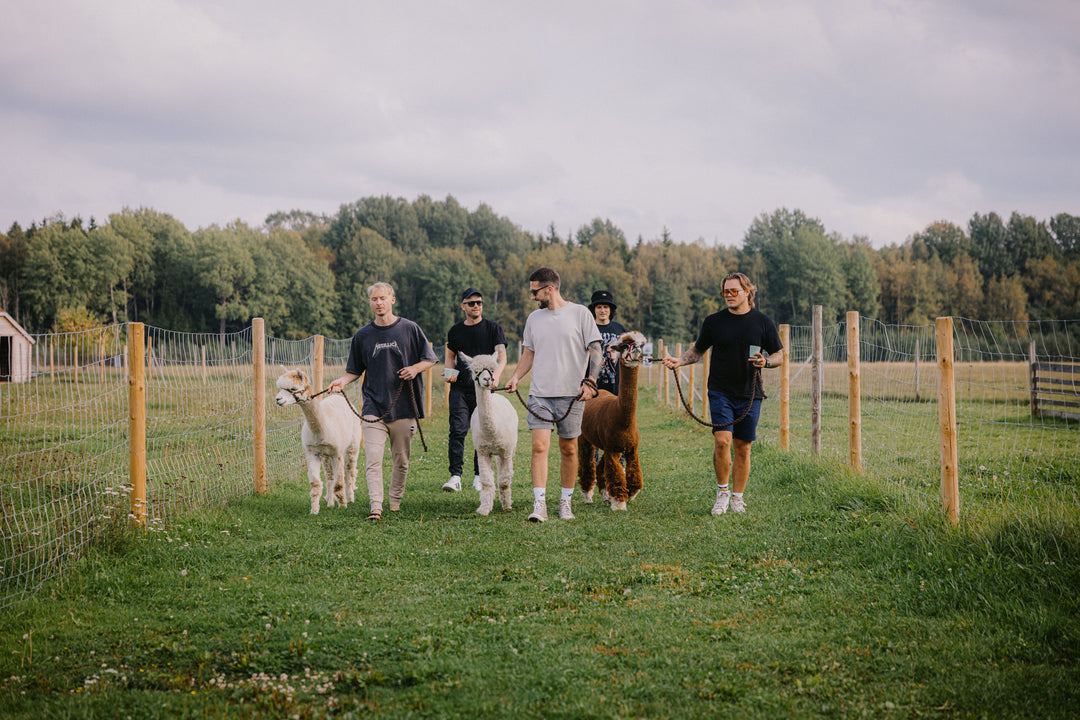 Pastaiga ar alpakām