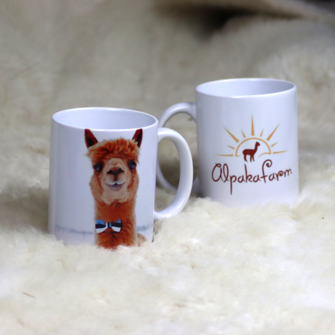 Kauss - dažādi varianti