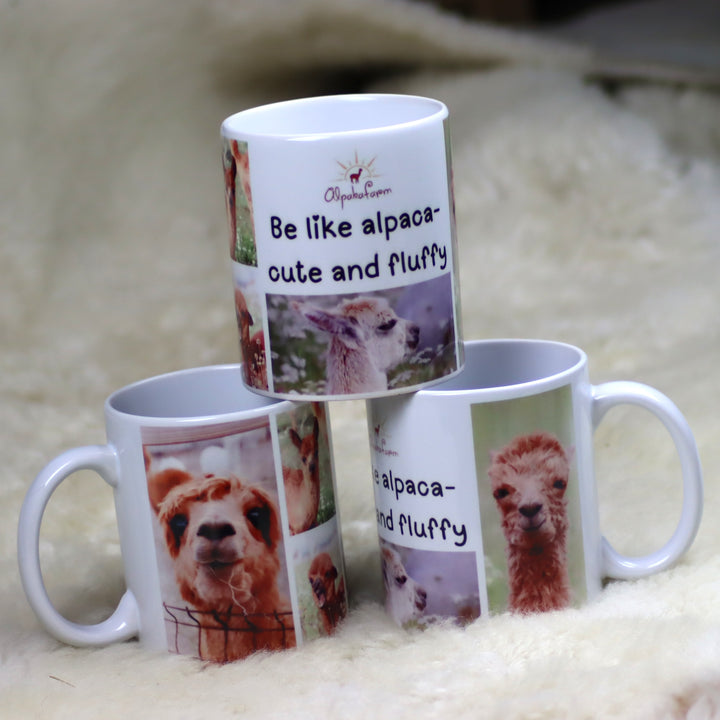 Kauss - dažādi varianti