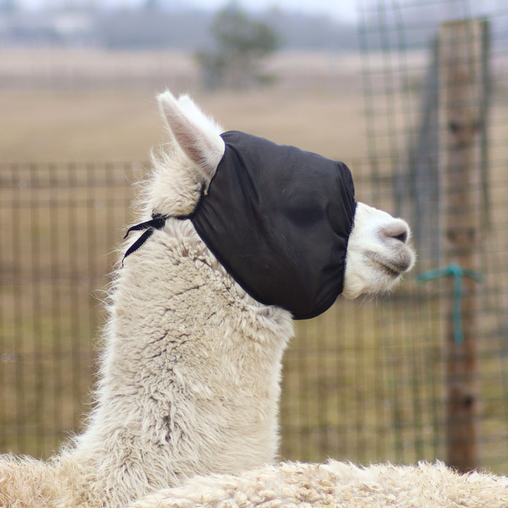 Putukamaskid alpakadele