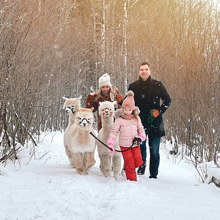 Pastaiga ar alpakām