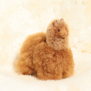 Leather alpaca