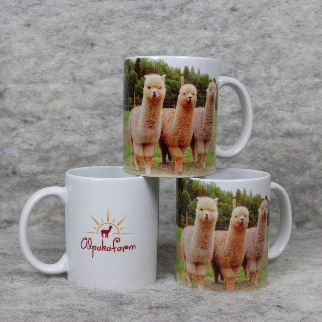 Kauss - dažādi varianti