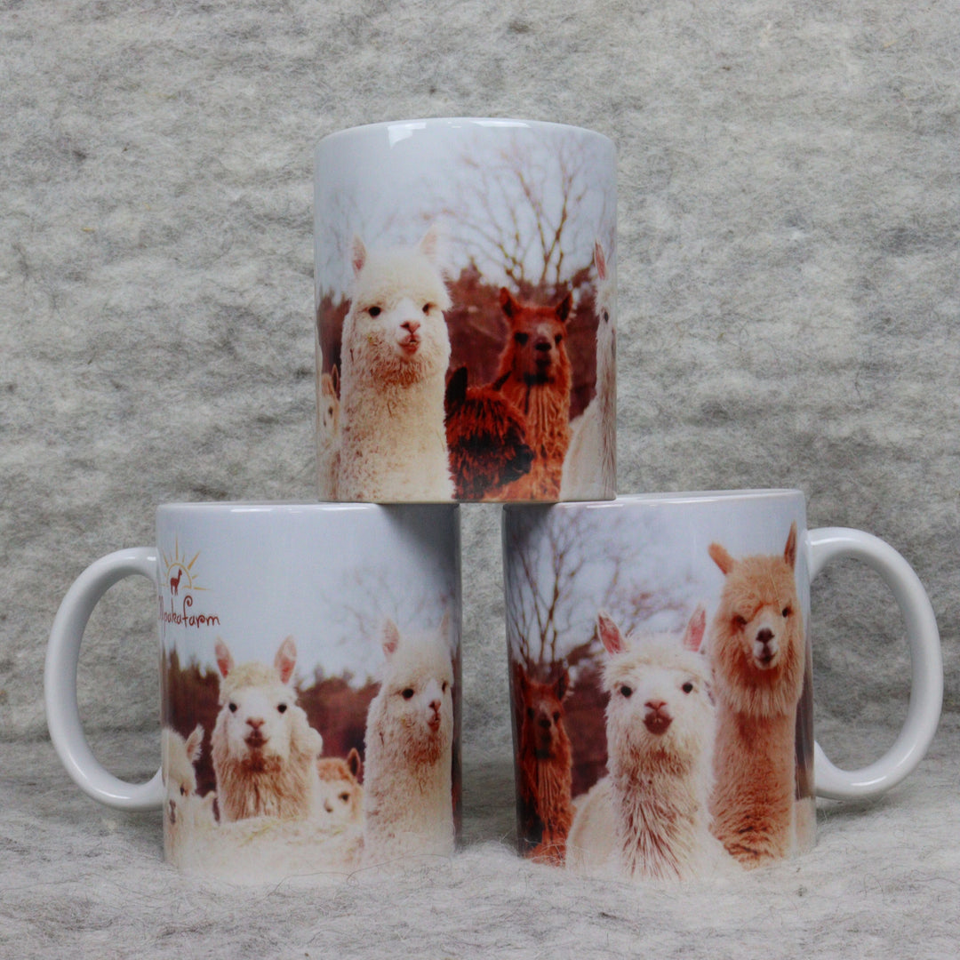 Kauss - dažādi varianti