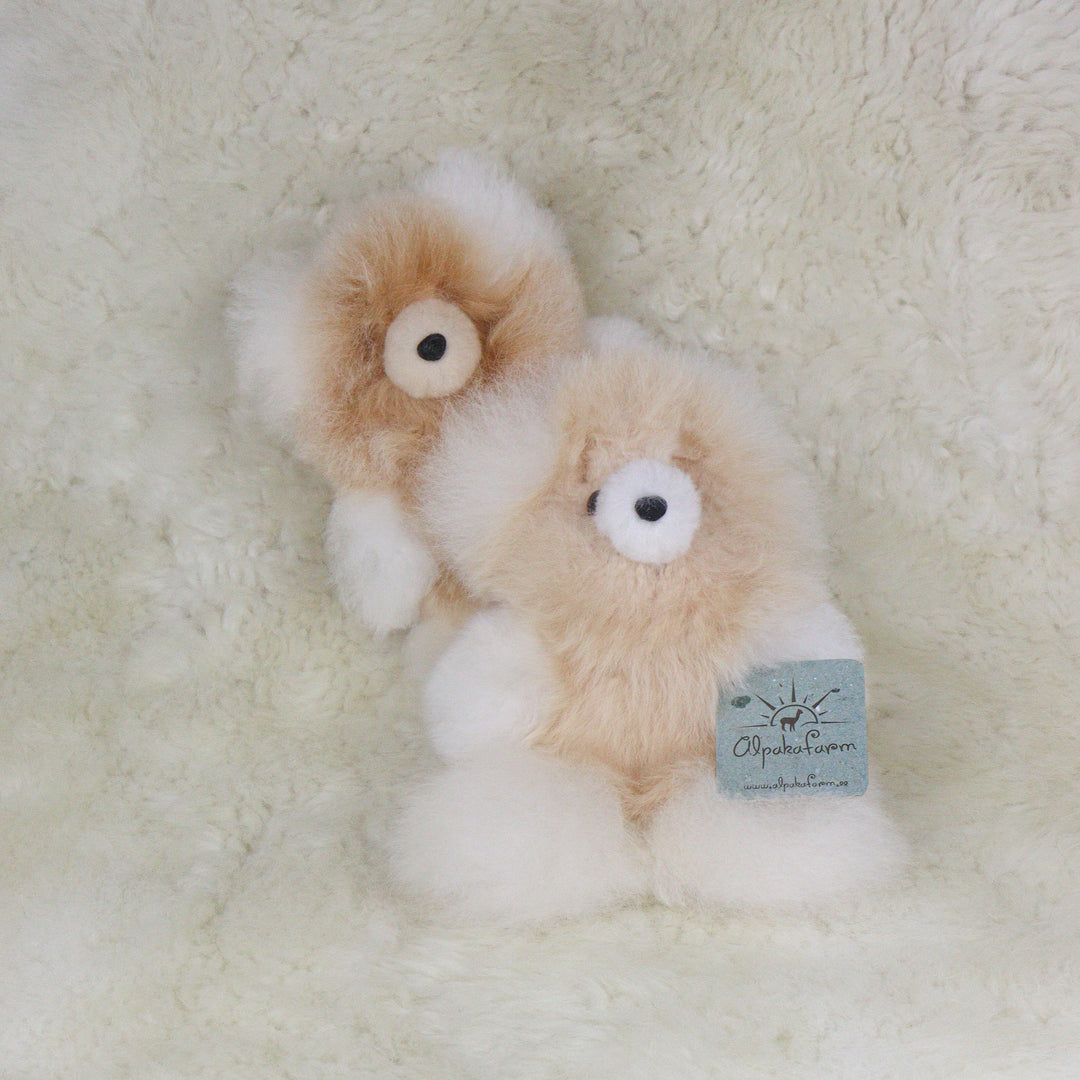 Leather Teddy Bear