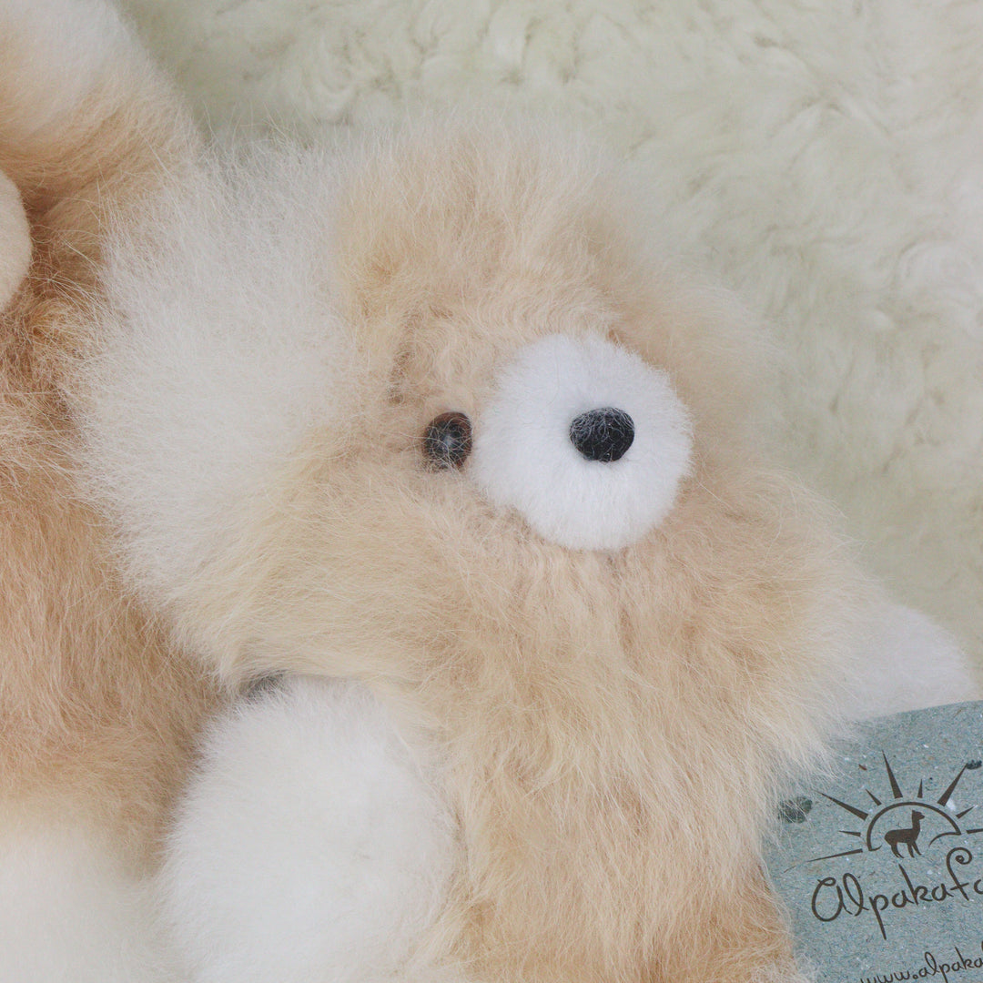 Leather Teddy Bear