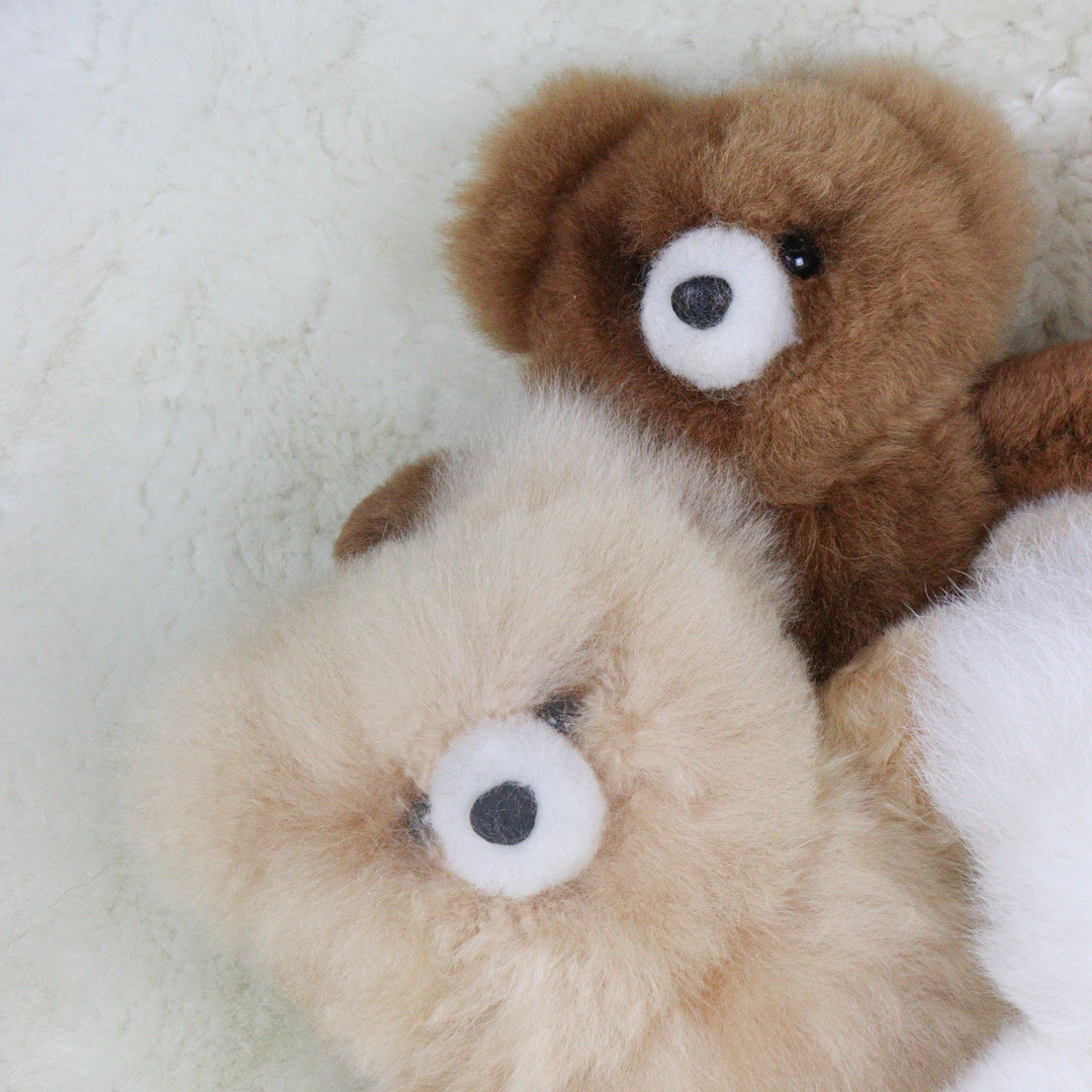Leather Teddy Bear