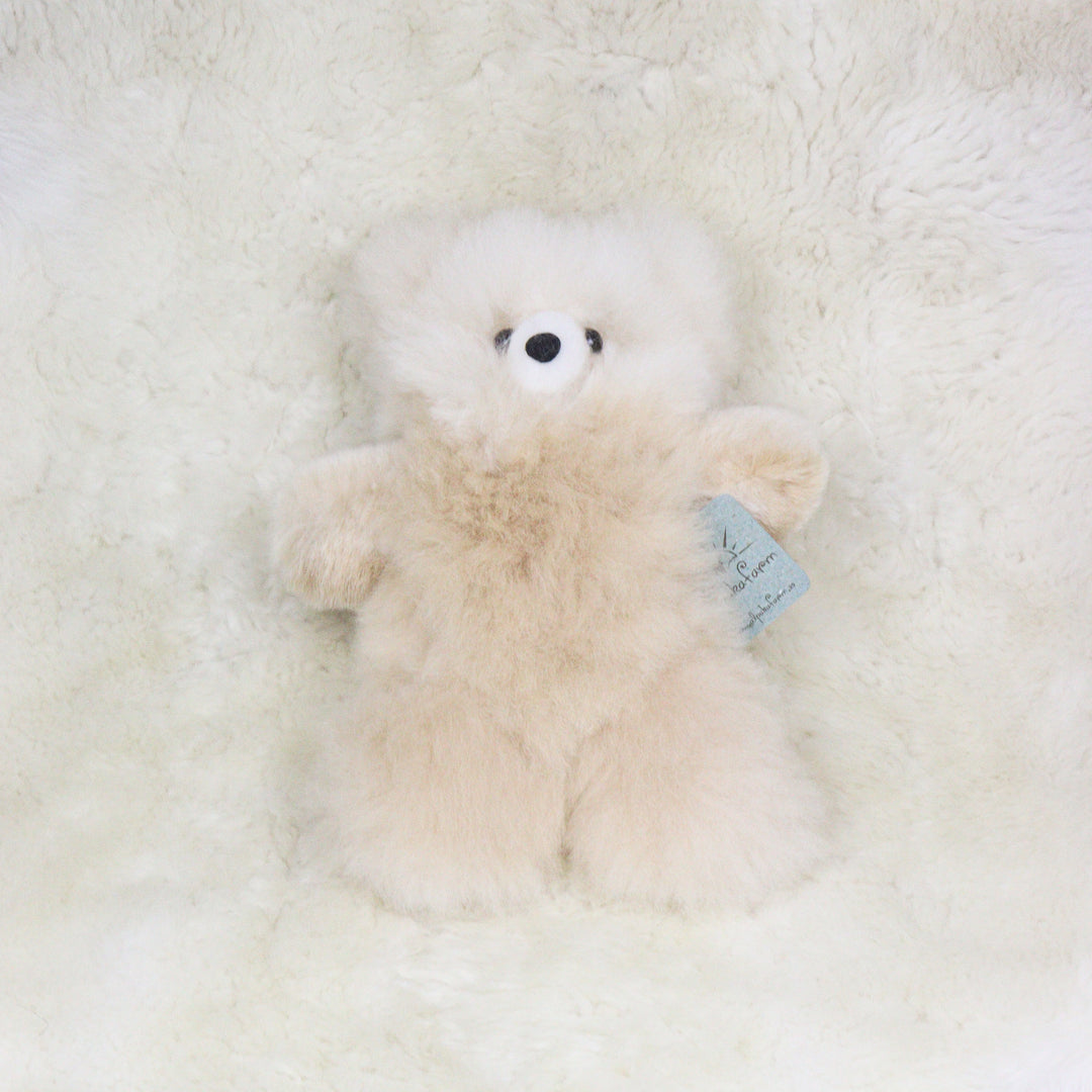 Leather Teddy Bear