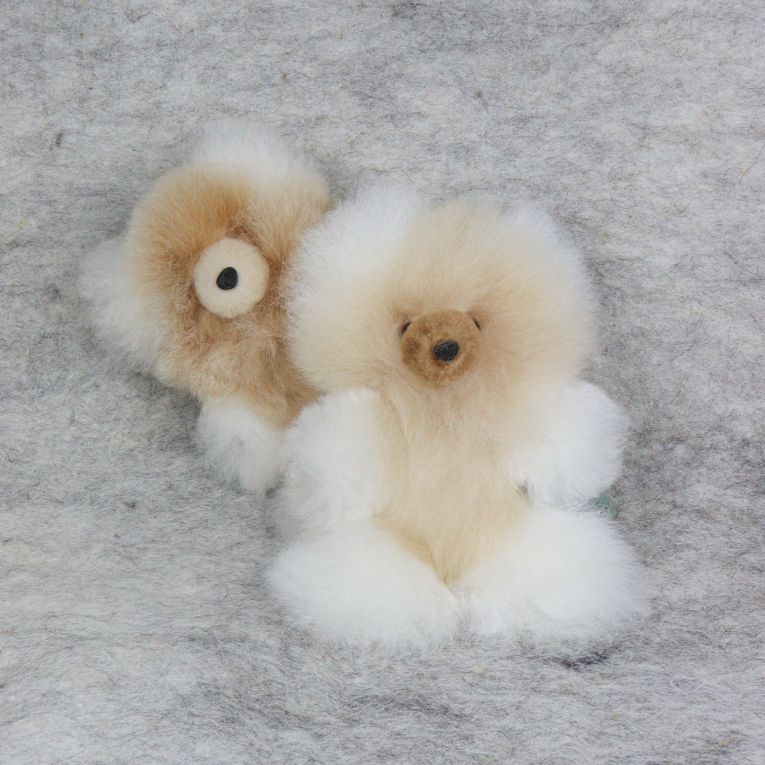 Leather Teddy Bear