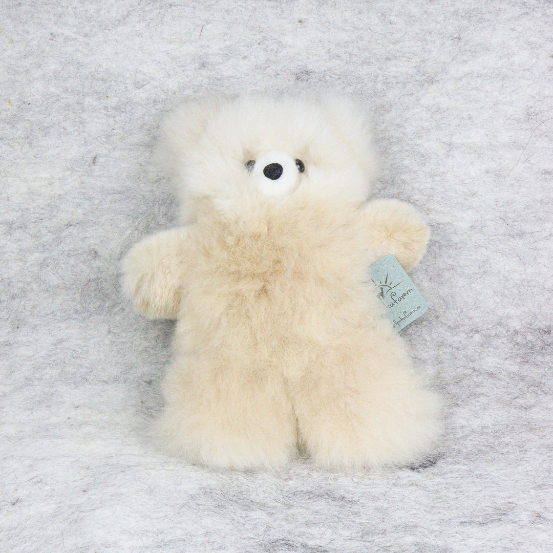 Leather Teddy Bear